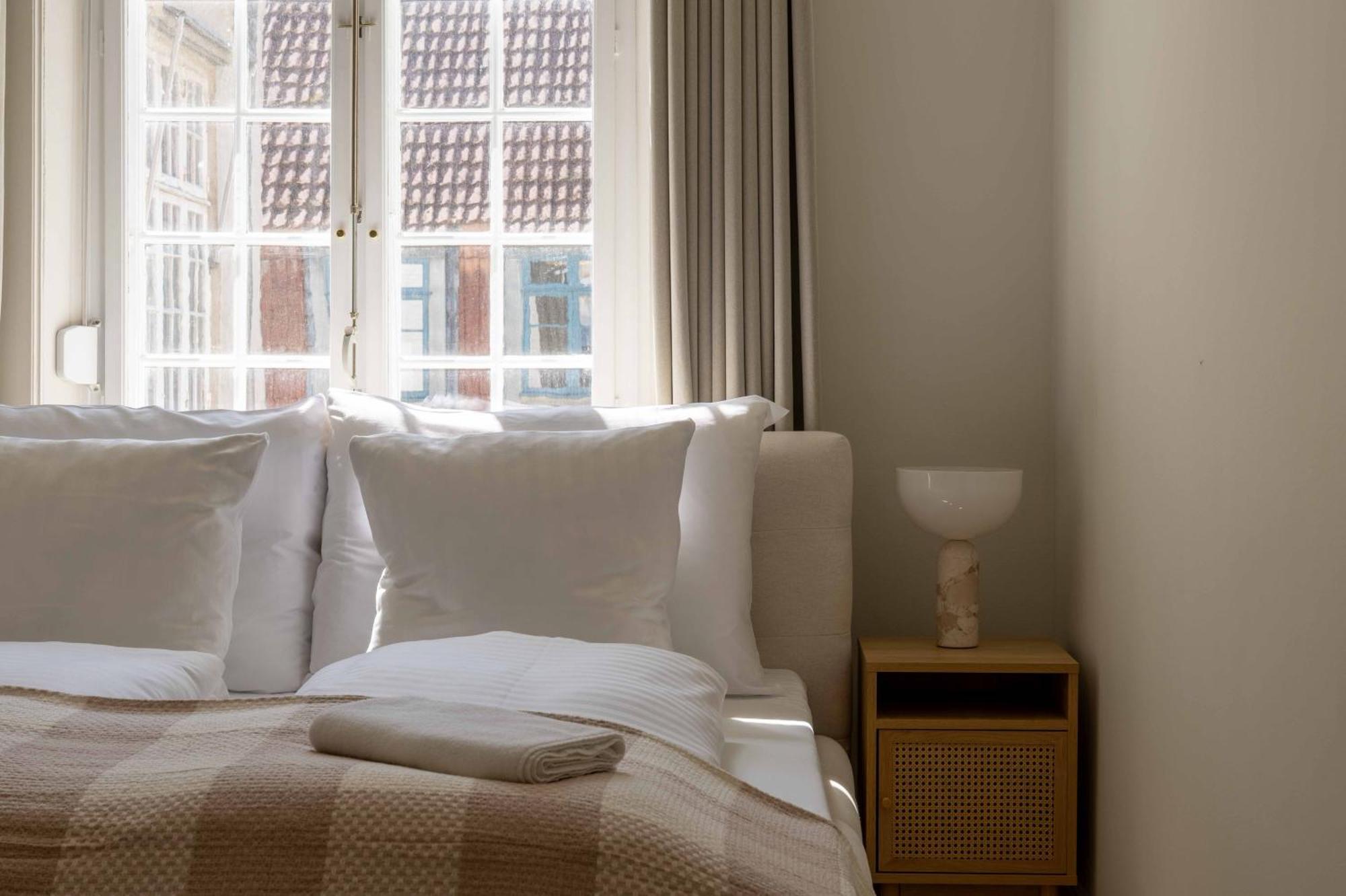 Grand Lux For 12 In Appartement Kopenhagen